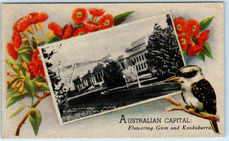 CANBERRA, AUSTRALIA ~ CAPITAL Parliament Building & Kookaburra  Postcard