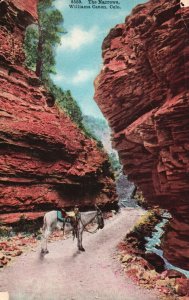 Vintage Postcard 1911 The Narrows Williams Canon Colorado CO Big Rocks Donkey