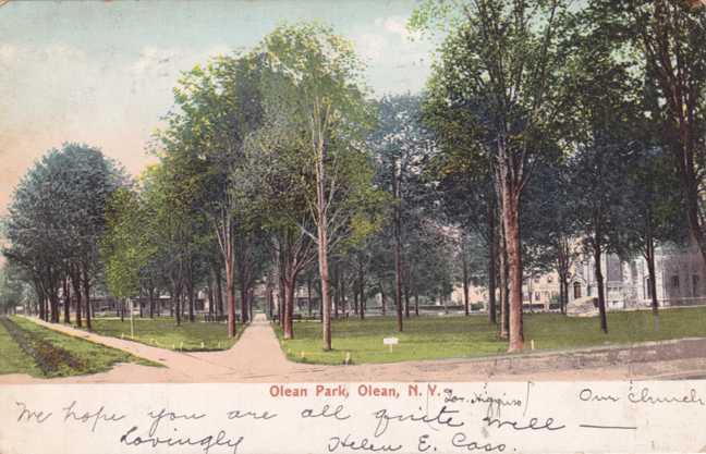 Olean Park - Olean NY, New York - pm 1905 - UDB