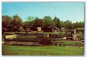 1970 Monkey Island Children's Zoo Franke Park Field Fort Wayne Indiana Postcard