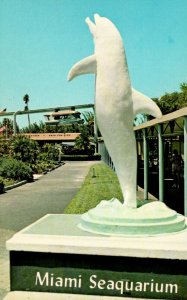 Florida Miami Seaqquarium Dolphin Statue
