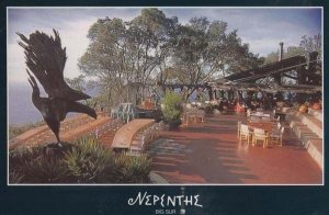 Nepenthe Calafornia Phoenix Rising Calafornian Restaurant Postcard