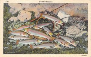 HIGH SIERRAS CA~SPECKLED BEAUTIES TROUT FISHING POSTCARD 1939 MAMMOTH LAKES PSMK