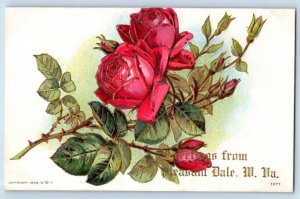 c1910's Greetings From Pleasant Dale WV, Pink Lily Flowers Hampshire Postcard