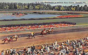 Mid-Season Hialeah Race Course Hialeah, Florida USA View Images 