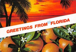 us7095 greetings from florida usa