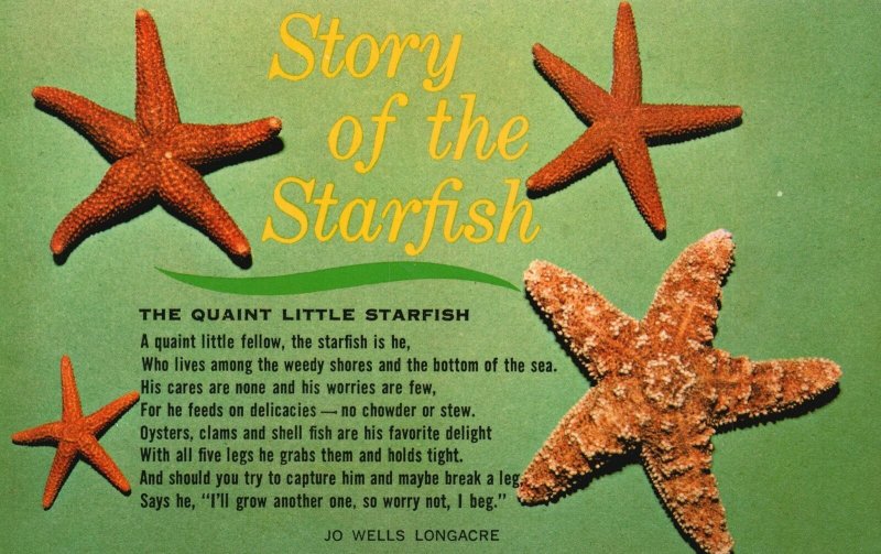 Vintage Postcard Story Of The Quaint Little Starfish By Jo Wells Longacre