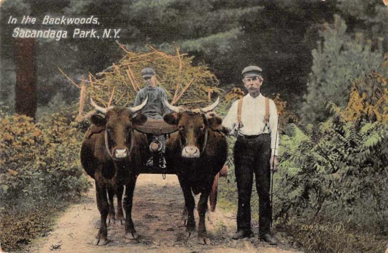 Sacandaga Park New York In the Backwoods Ox Cart Vintage Postcard JC932065