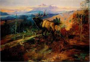 The Elk a/s Charles Russell Great Falls Montana Postcard