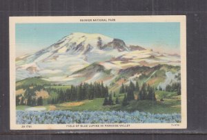 WASHINGTON, RAINIER NATIONAL PARK, PARADISE VALLEY, LUPINES, c1950 ppc., unused.