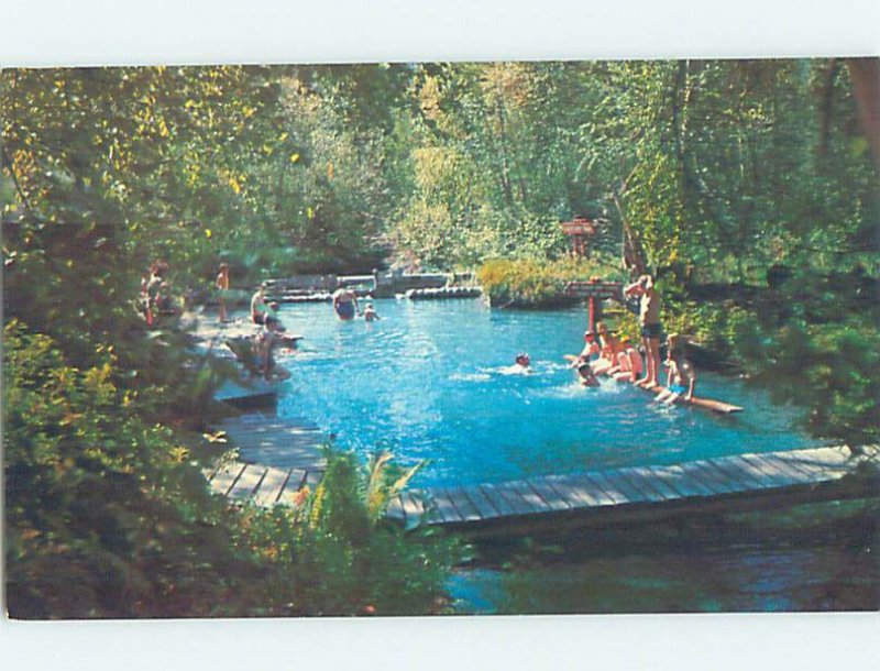 Chrome PARK SCENE Liard Hot Springs - Liard River British Columbia BC AH4075