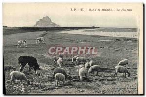 Old Postcard Mont St Michel Les Pres Sales Cow and sheep