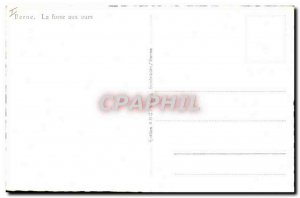 Modern Postcard Bern The Bear Pit