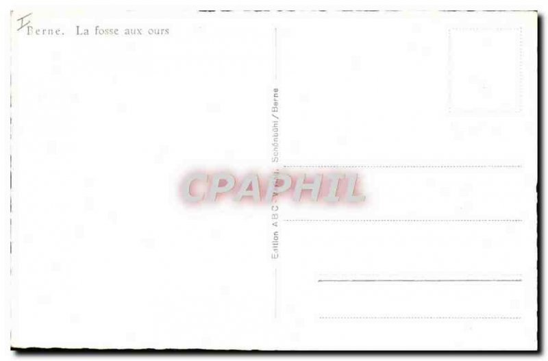 Modern Postcard Bern The Bear Pit