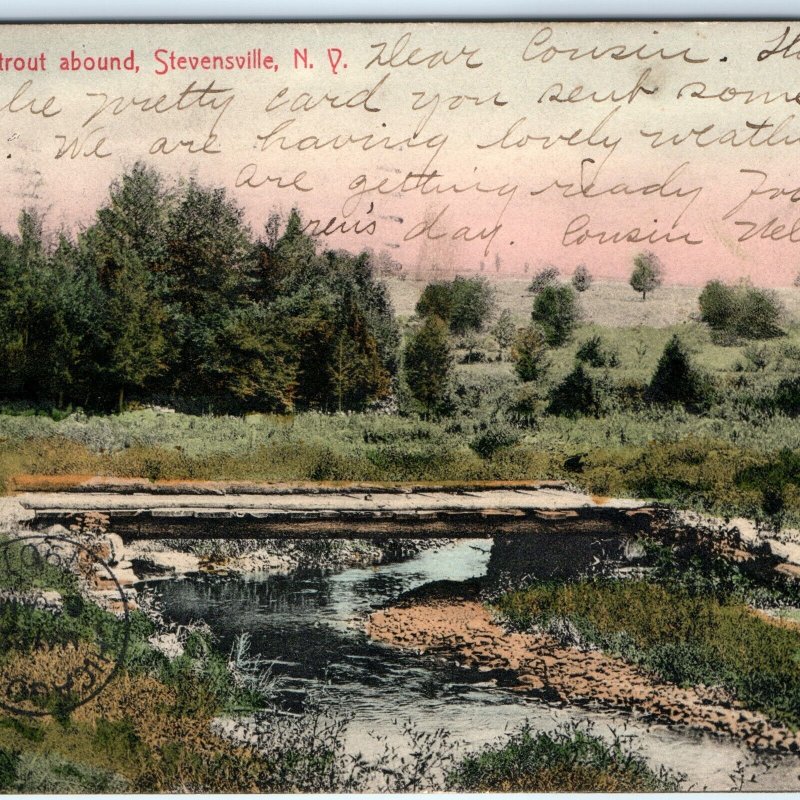 c1900s Stevensville, NY Trout Stream Nature Scene Litho Postcard Fahrenholz A166