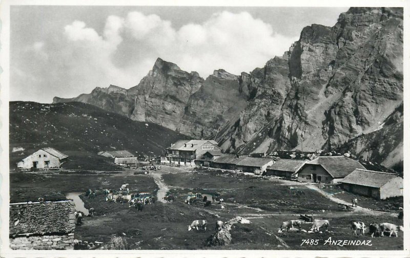 Switzerland Anzeindaz mountain view farm cows