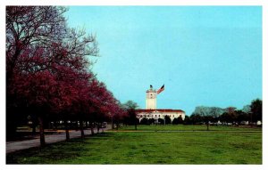 Postcard BUILDING SCENE Shreveport Louisiana LA AS4453