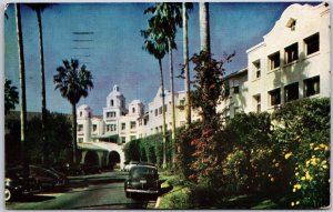 1948 Palm-Lined Drive Beverly Hills California Landscape Building Cars Postcard