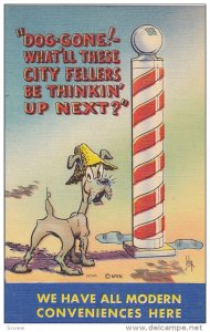 Dog-Gone!- What'll these city fellers be thinkin' up next? Dog wearing stra...