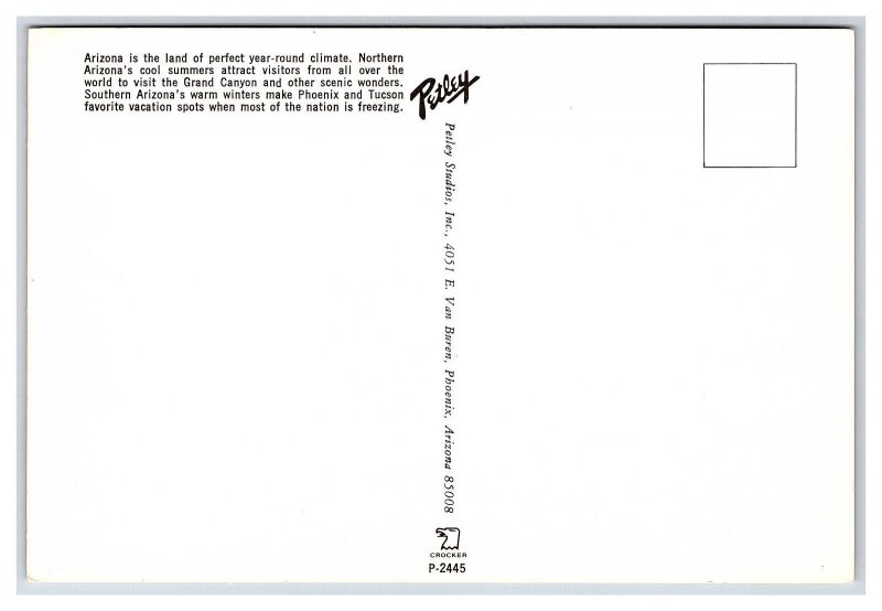 Greetings From Arizona Postcard Continental View Banner Card 