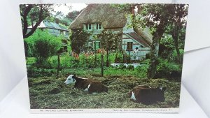 Vintage Postcard The Thatched Cottage Blandford Dorset