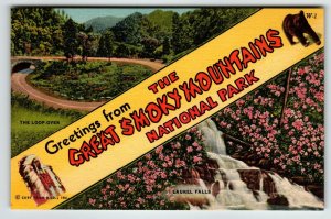 Great Smokey Mountains Tennessee Postcard Linen Unposted Vintage Brown Bear