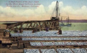 Pacific Fish Co. - Monterey, CA