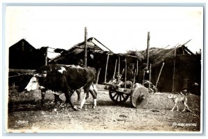 c1940's Barnert Animal Cart Carrying People Chile RPPC Photo Postcard