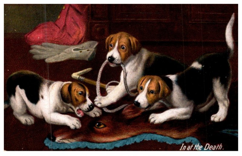 Dog ,  puppies playing with rope