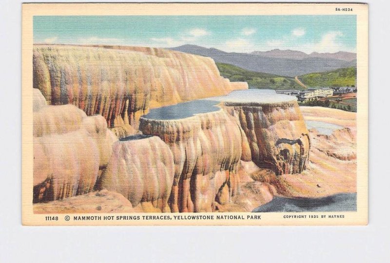 VINTAGE POSTCARD NATIONAL STATE PARK YELLOWSTONE MAMMOTH HOT SPRINGS TERRACES #3