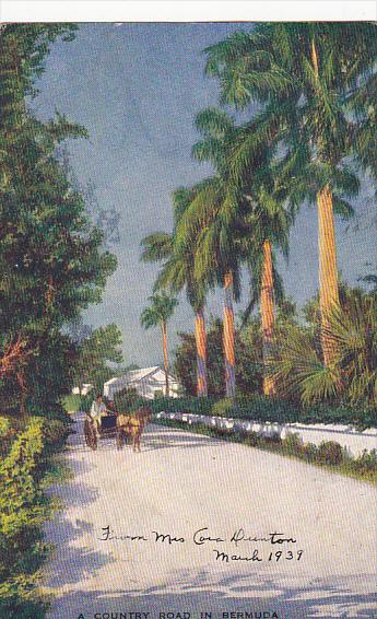 A Country Road In Bermuda 1939