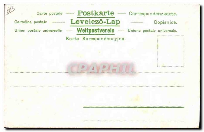 Old Postcard Horse Riding Equestrian