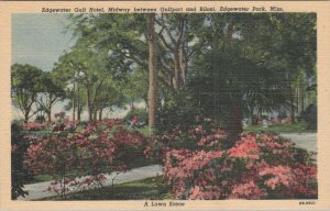 Postcard Lawn Edgewater Gulf Hotel Midway Gulfport + Biloxi Edgewater Park MS