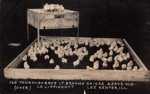 Lee Center Illinois Old Trusty Chicken Incubator Ad Real Photo PC AA79737