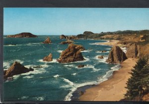 America Postcard - Oregon Coast - Harris Beach State Park  T9127