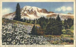 Mountain Flowers - Rainier National Park, Washington