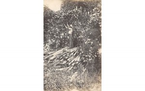 Man in trees in Shiloh, New Jersey