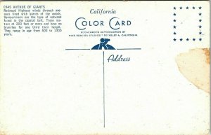 Ave Giants Redwood Hwy Postcard Mike Roberts VTG UNP Vintage Unused Chrome 