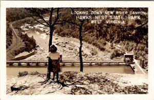 WV Hawks Nest State Park West Virginia Down New River Canyon RPPC Postcard Y18