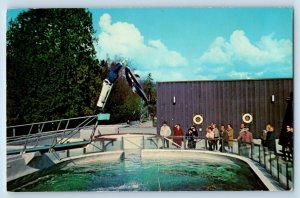 Canada Postcard Splasher Porpoise Vancouver Public Aquarium Stanley Park 1975