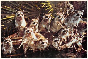 Weeki Wachee, Florida  