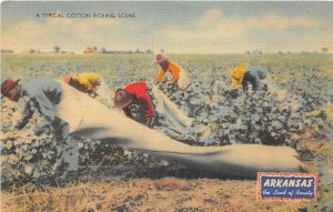 Lot 33 usa a typical cotton picking scene arkansas