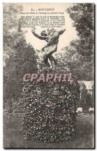 Montargis Old Postcard Statue chein Montargis garden Durzy