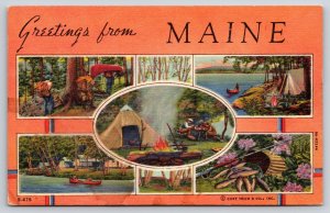 Greetings From Maine~Camp Scenes~Hiking~Canoe~Tent~Lake Fishing~Linen Postcard