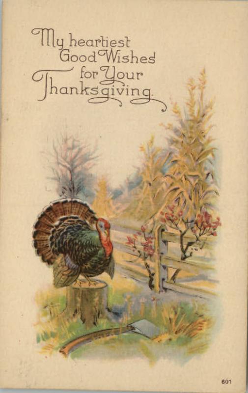 Thanksgiving Turkey Greeting c1910 Postcard