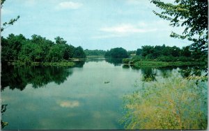 Vtg Silver Lake Milford Delaware DE Unused Chrome Postcard