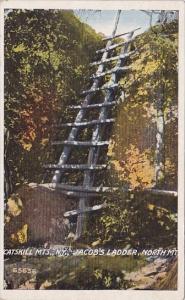 Jacob's Ladder North Mountain Catskill Mountains New York