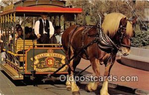 Horse Drawn Streetcar, Old Dobbin Walt Disney World, FL, USA 1975 