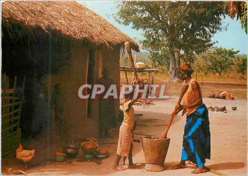 Modern Postcard Senegal meal Preparation