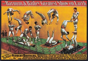 Barnum & Baileys Herbert Brothers Circus Acrobats Advertising Poster Postcard